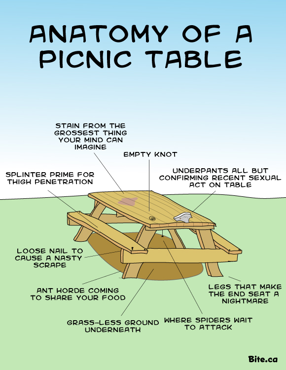 anatomy of a picnic table